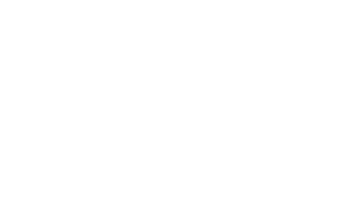 Champagne de vigneron vert blanc